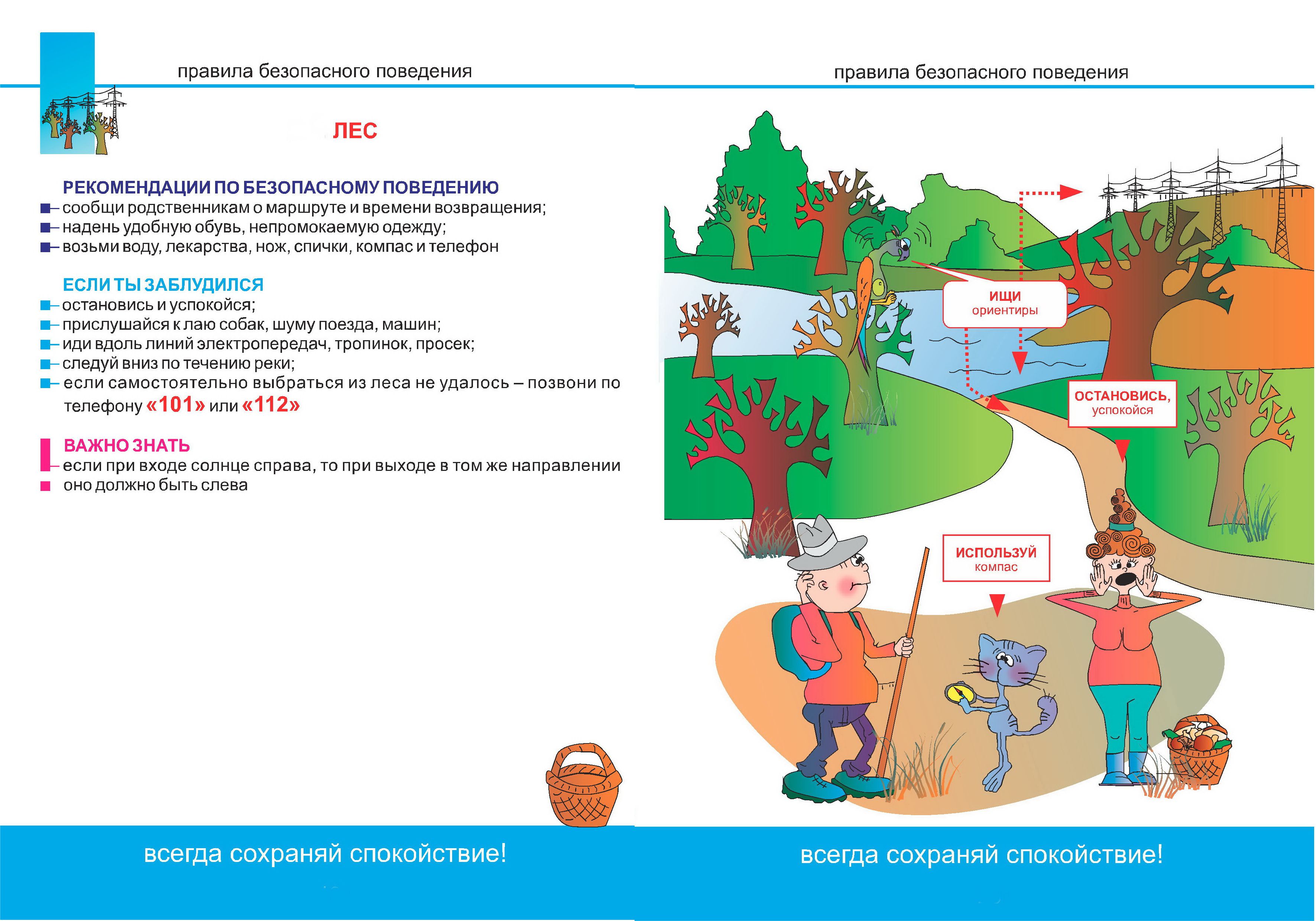 Правила безопасного поведения. Как не потеряться в лесу
