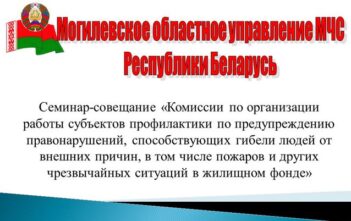 Семинар-совещание «Комиссии по организации работы субъектов профилактики по предупреждению правонарушений, способствующих гибели людей от внешних причин, в том числе пожаров и других чрезвычайных ситуаций в жилищном фонде»