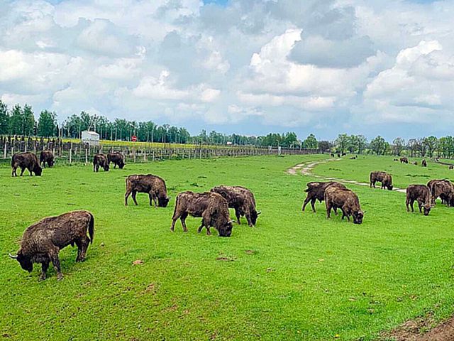 Шестой школьный день. Зкскурсия