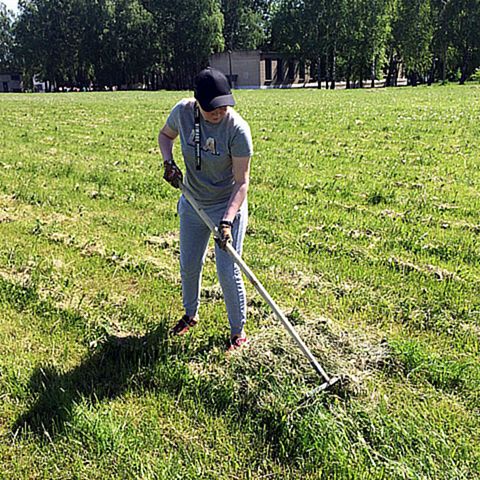 Будни лагеря труда и отдыха «Эколог»