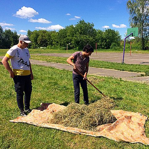 Будни лагеря труда и отдыха «Эколог»