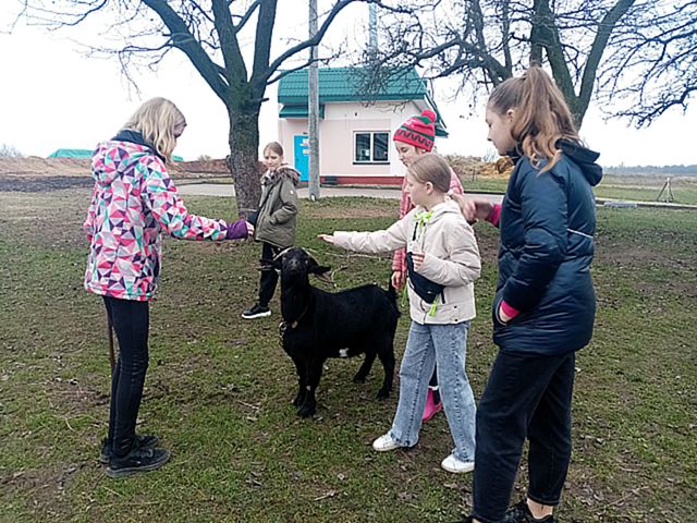 Посещение конного манежа