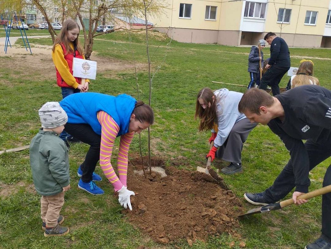 Наш двор - наше дерево