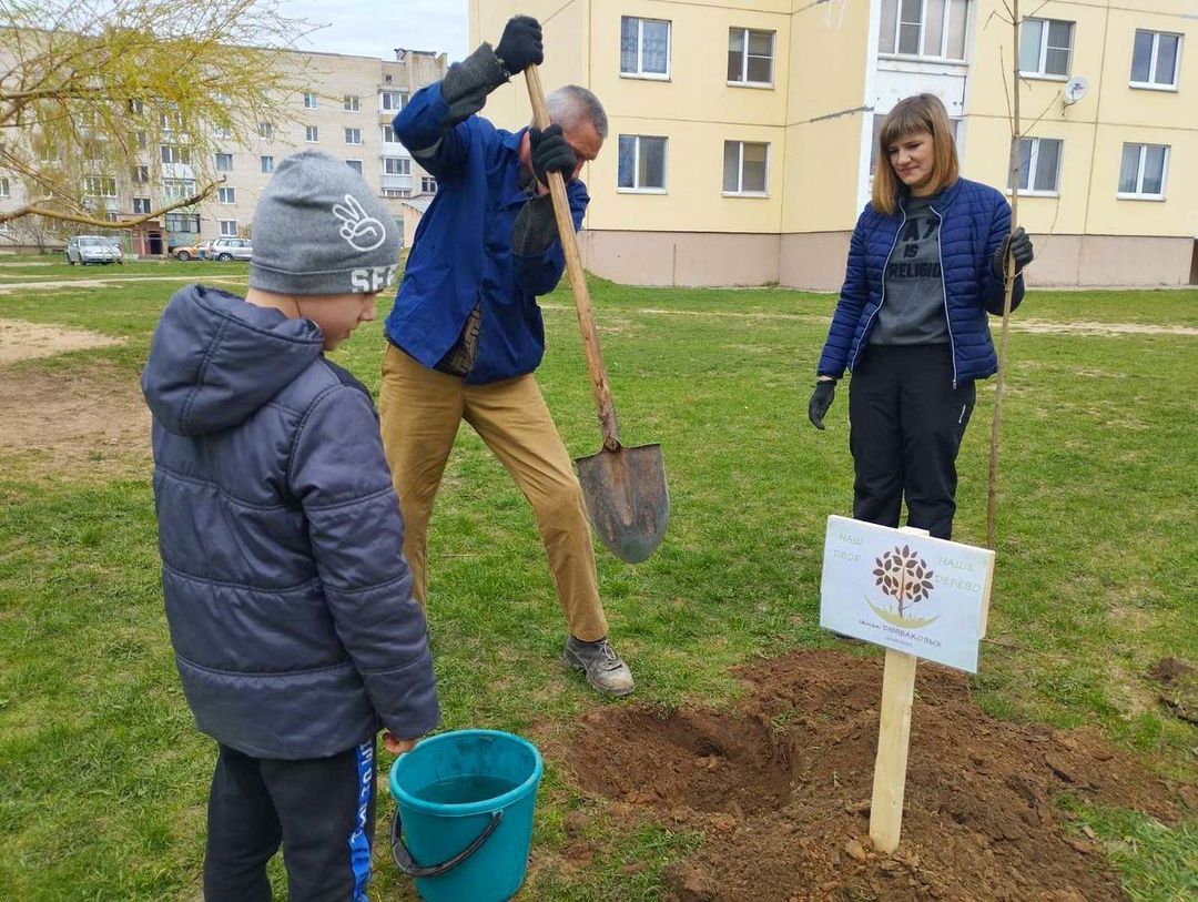 Наш двор - наше дерево