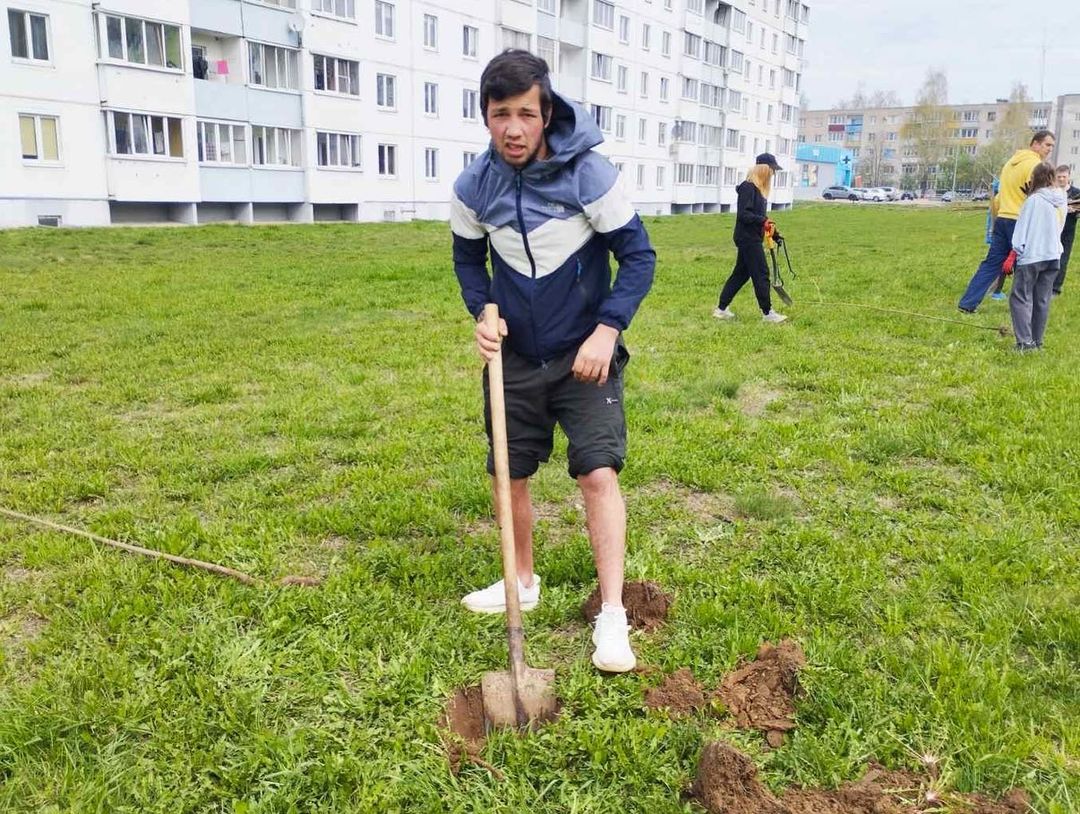 Наш двор - наше дерево