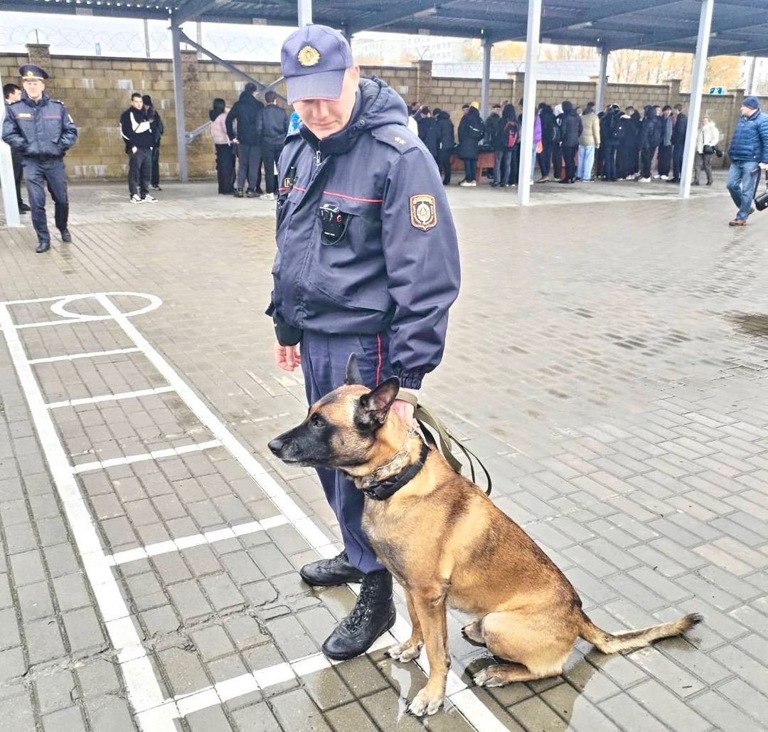 Выбираем профессию