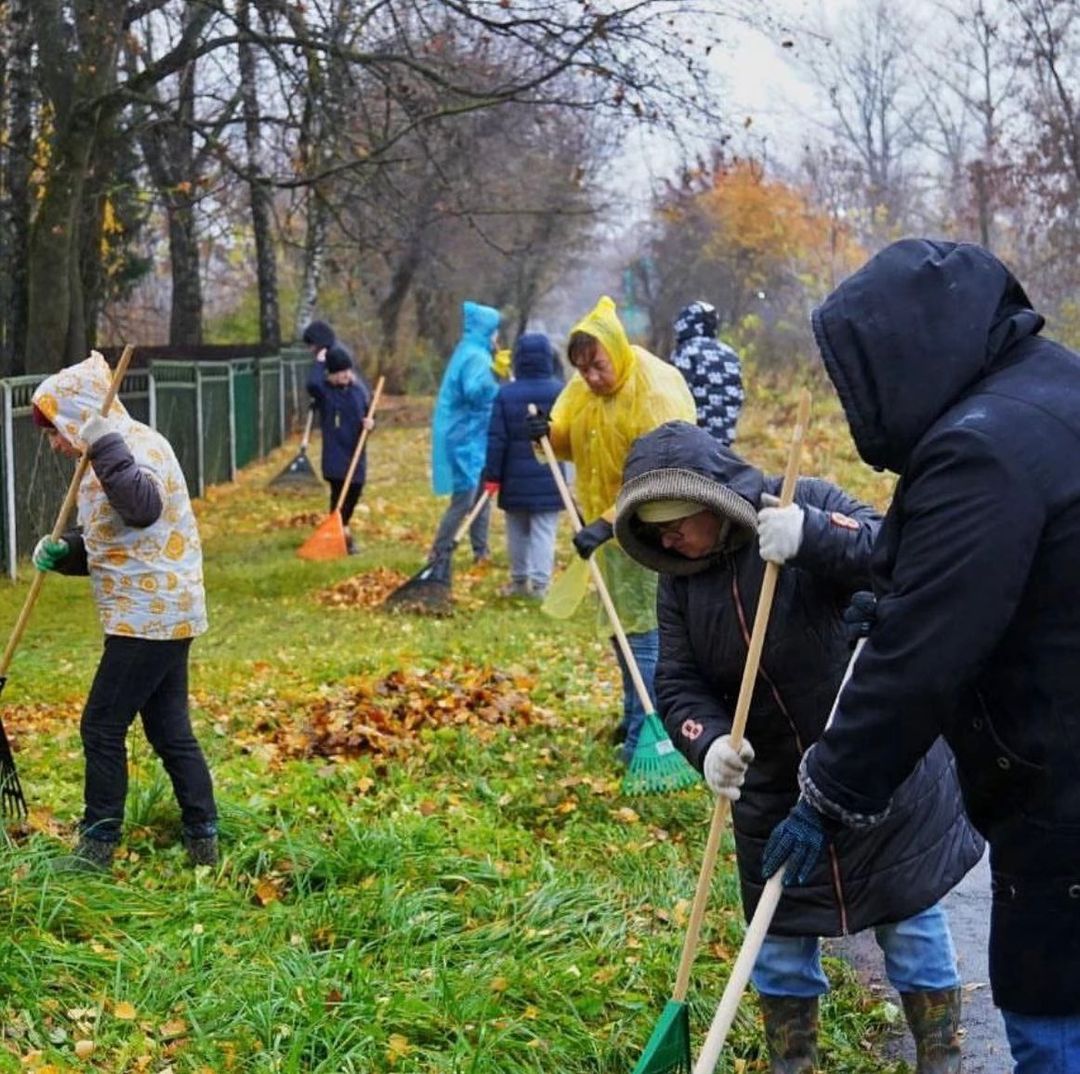 Даёшь субботник!