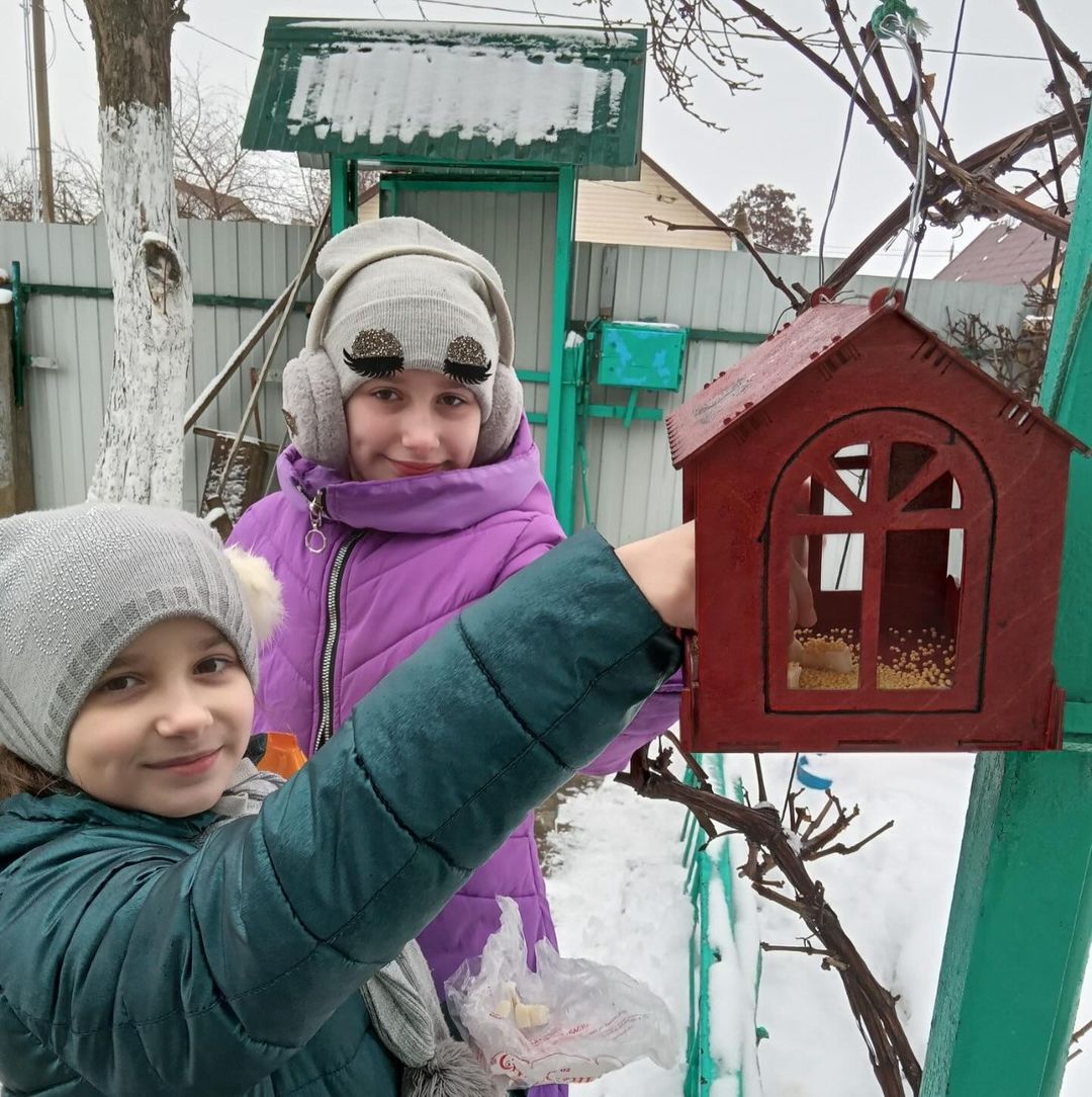 Покормите птиц зимой!