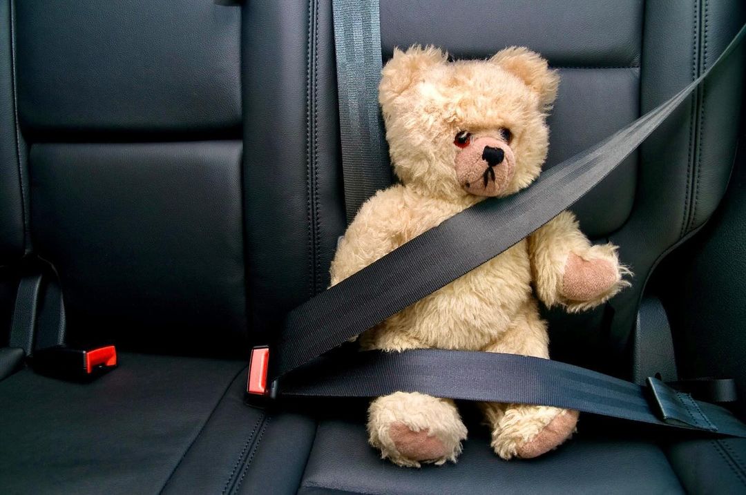 ОСВОДовцы стартуют!