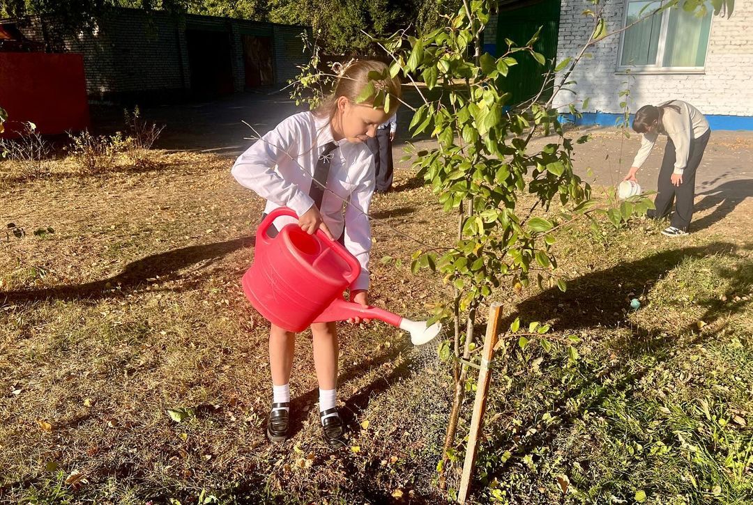 Капля жизни