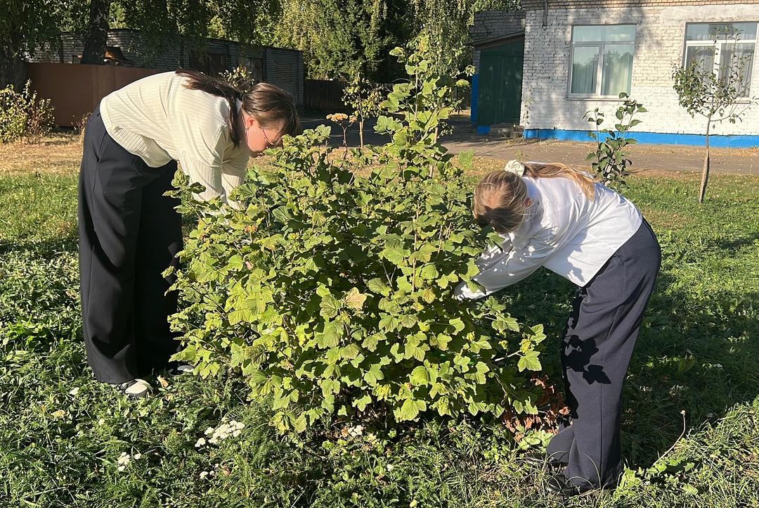 Капля жизни