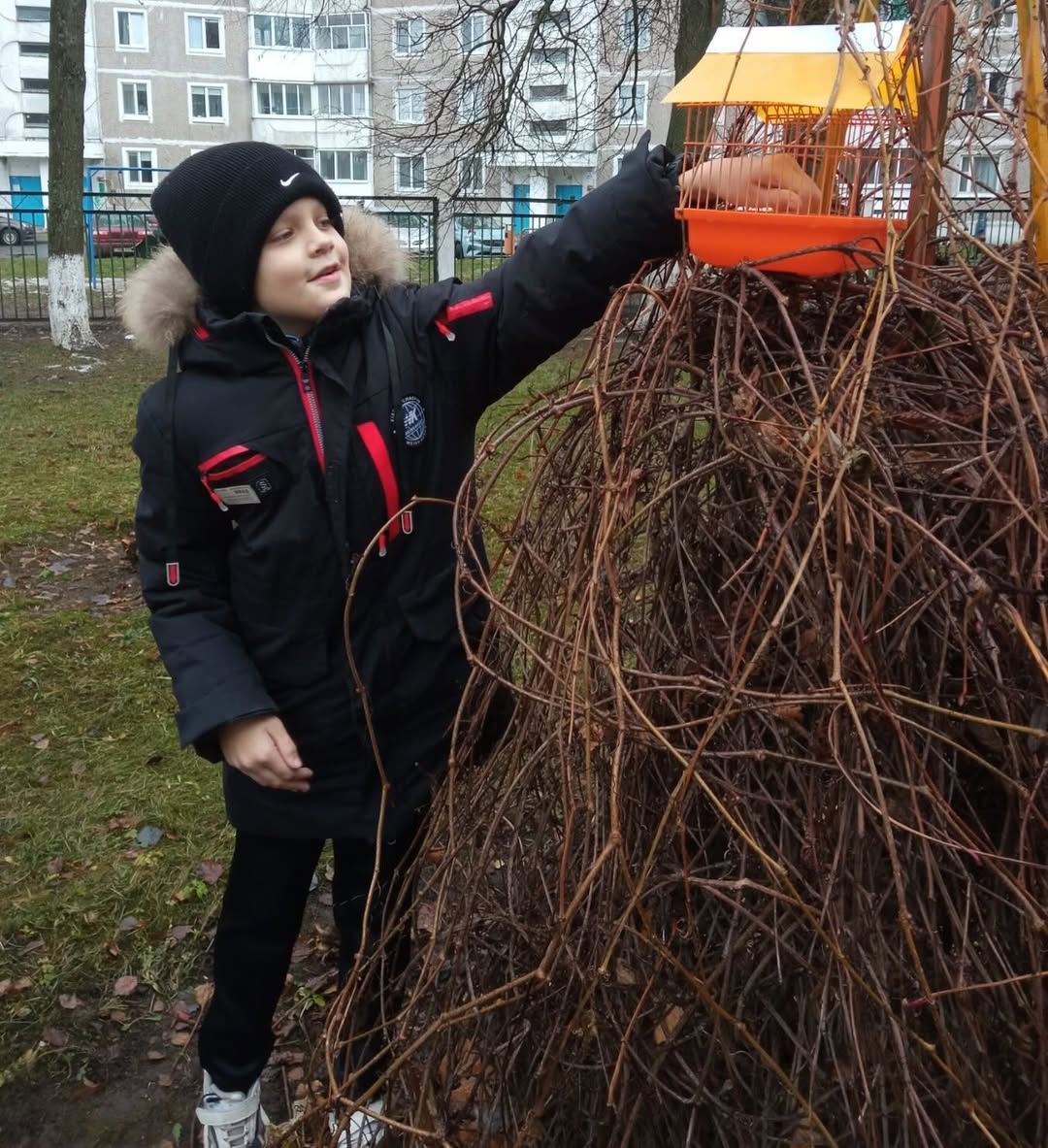 Покормите птиц зимой