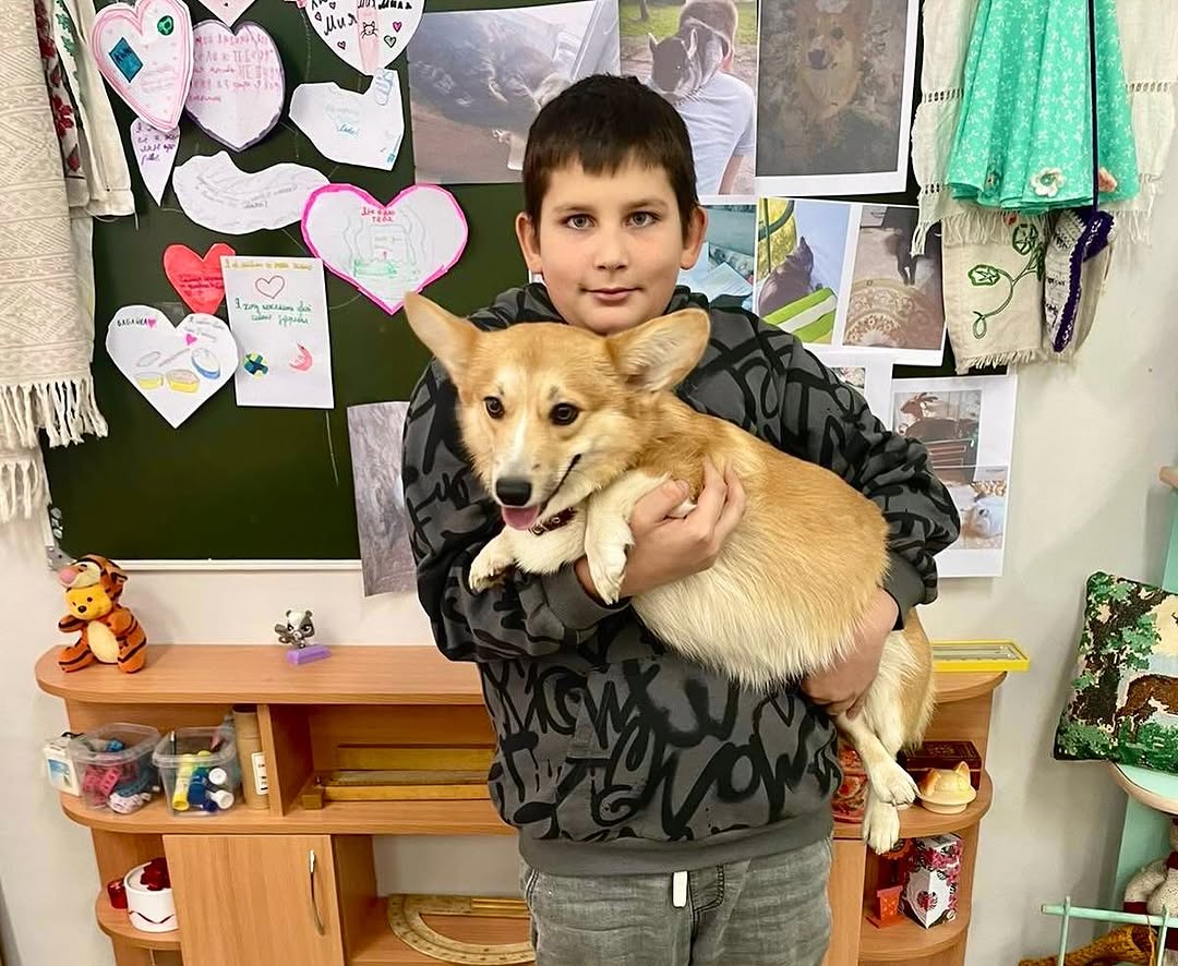 Не обижайте животных