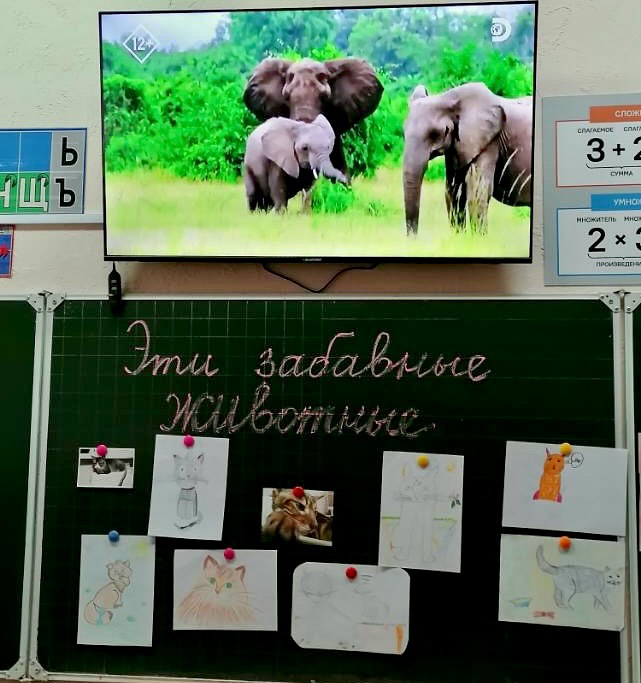 Эти забавные животные