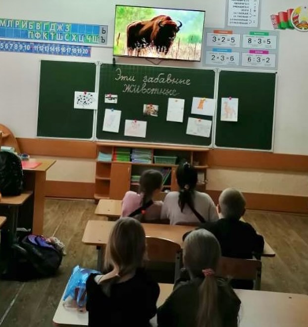 Эти забавные животные