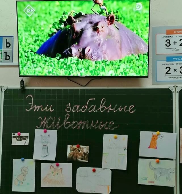 Эти забавные животные