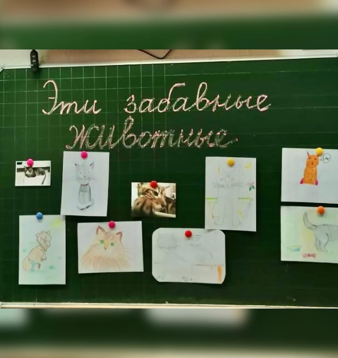 Эти забавные животные