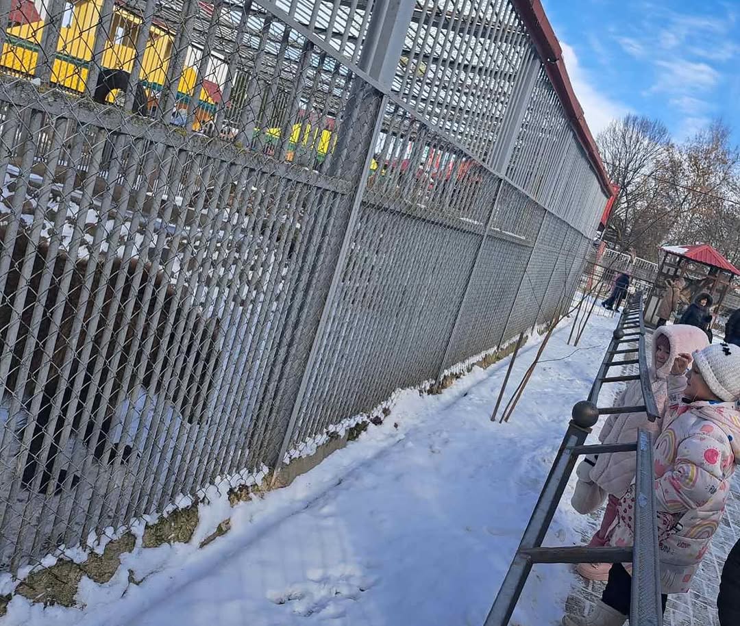 Пришла масленица