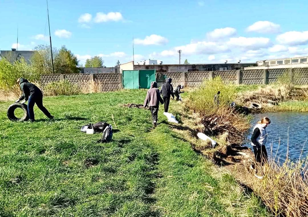 Беларусь синеокая