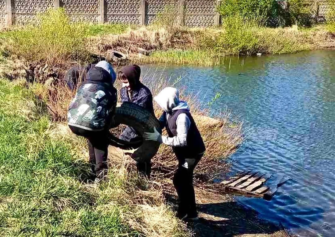 Беларусь синеокая