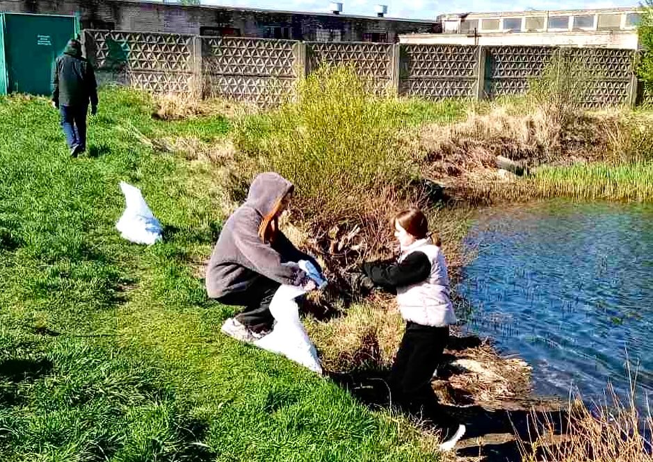 Беларусь синеокая