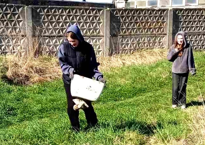 Беларусь синеокая