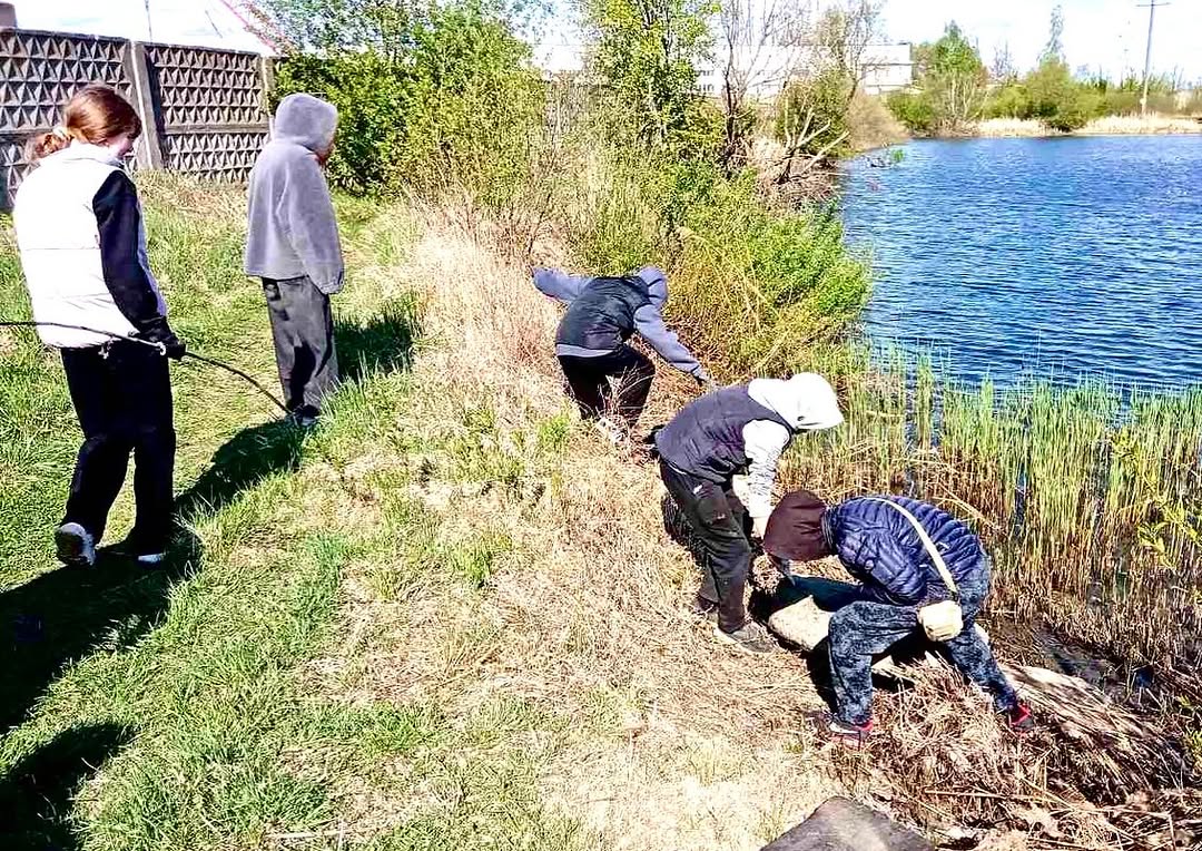 Беларусь синеокая