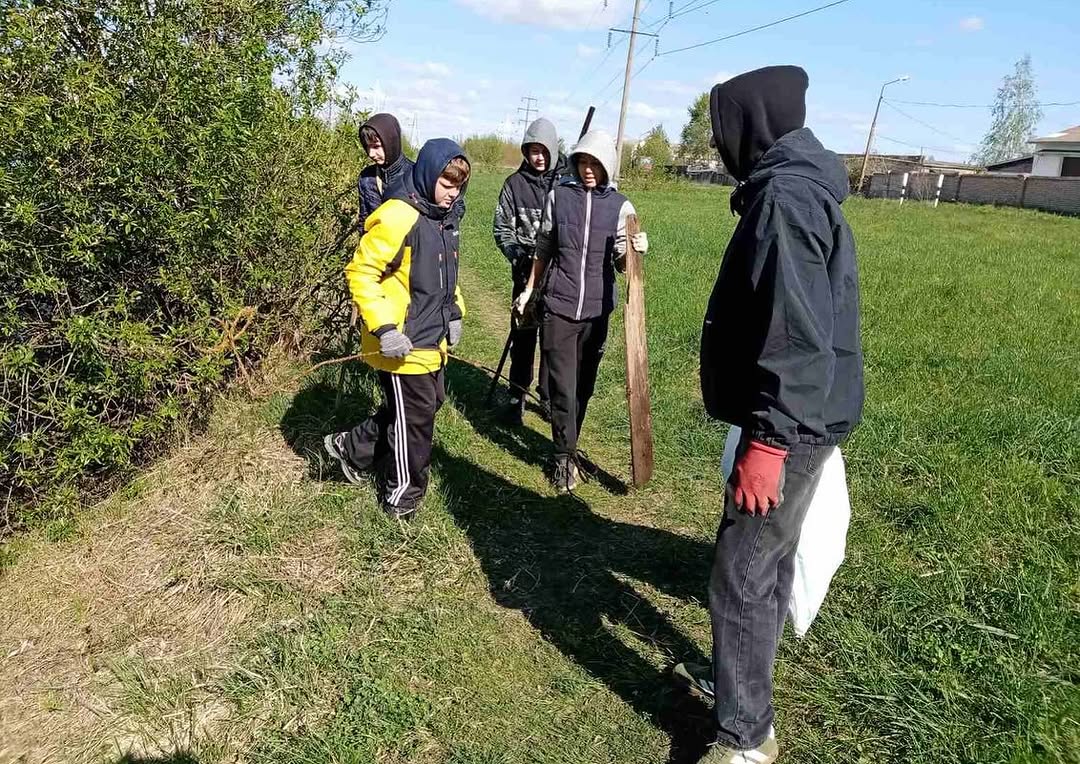 Беларусь синеокая