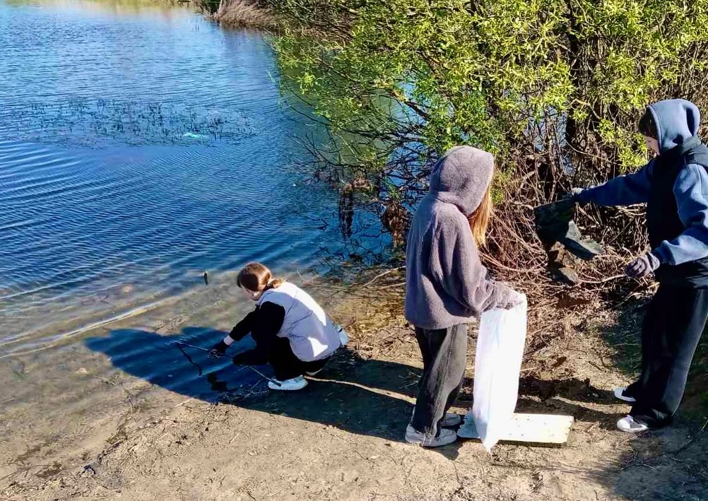 Беларусь синеокая