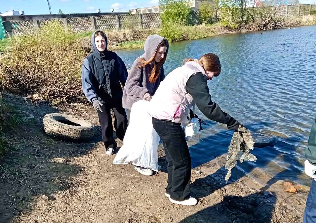 Беларусь синеокая