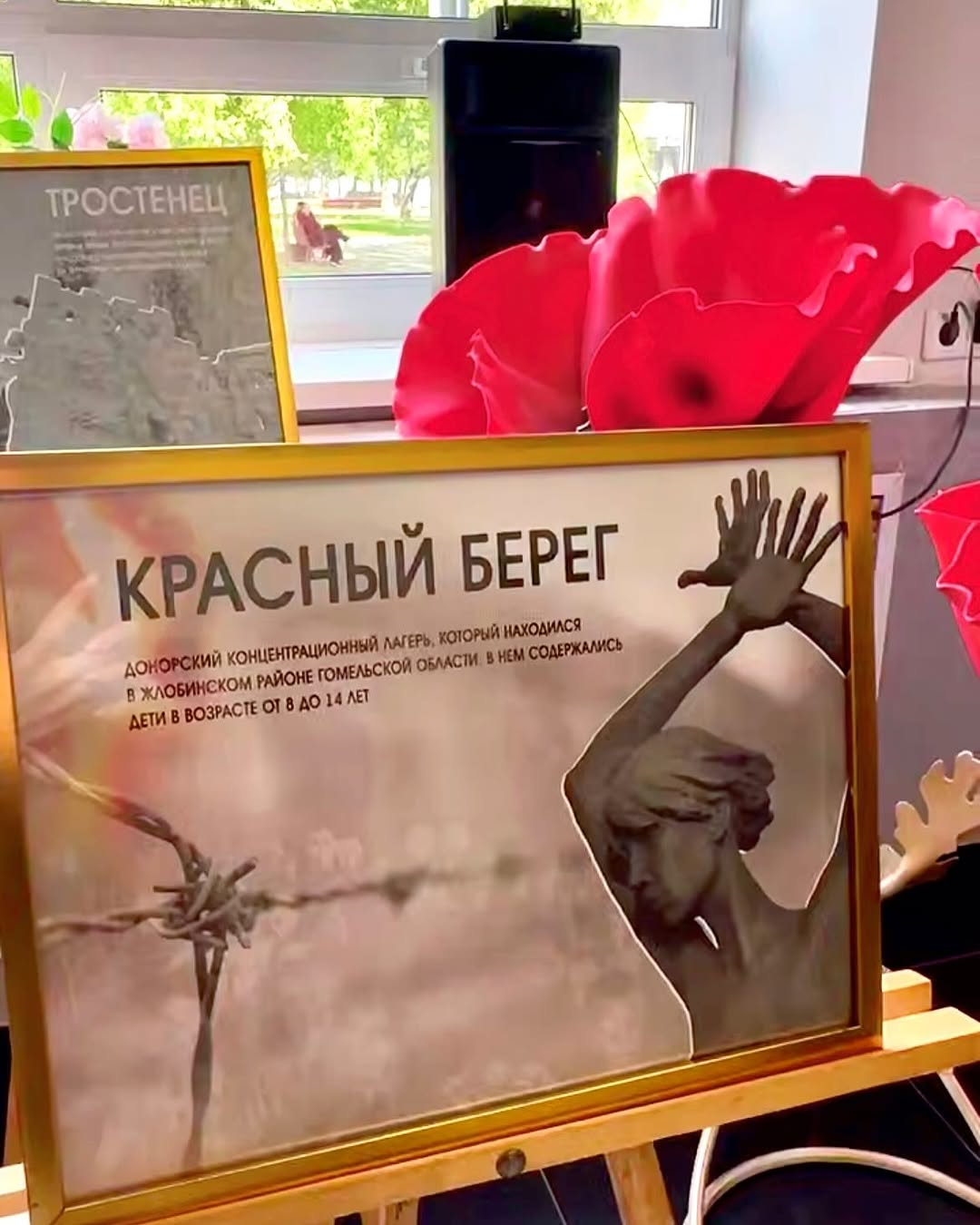 Премьерный кинопоказ