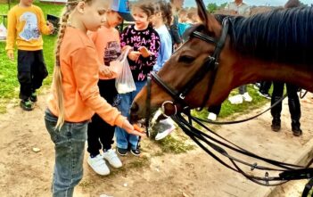 С любовью к лошадям