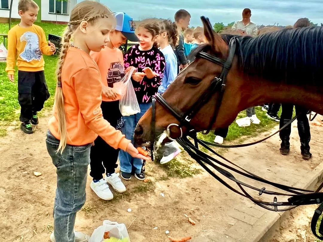 С любовью к лошадям