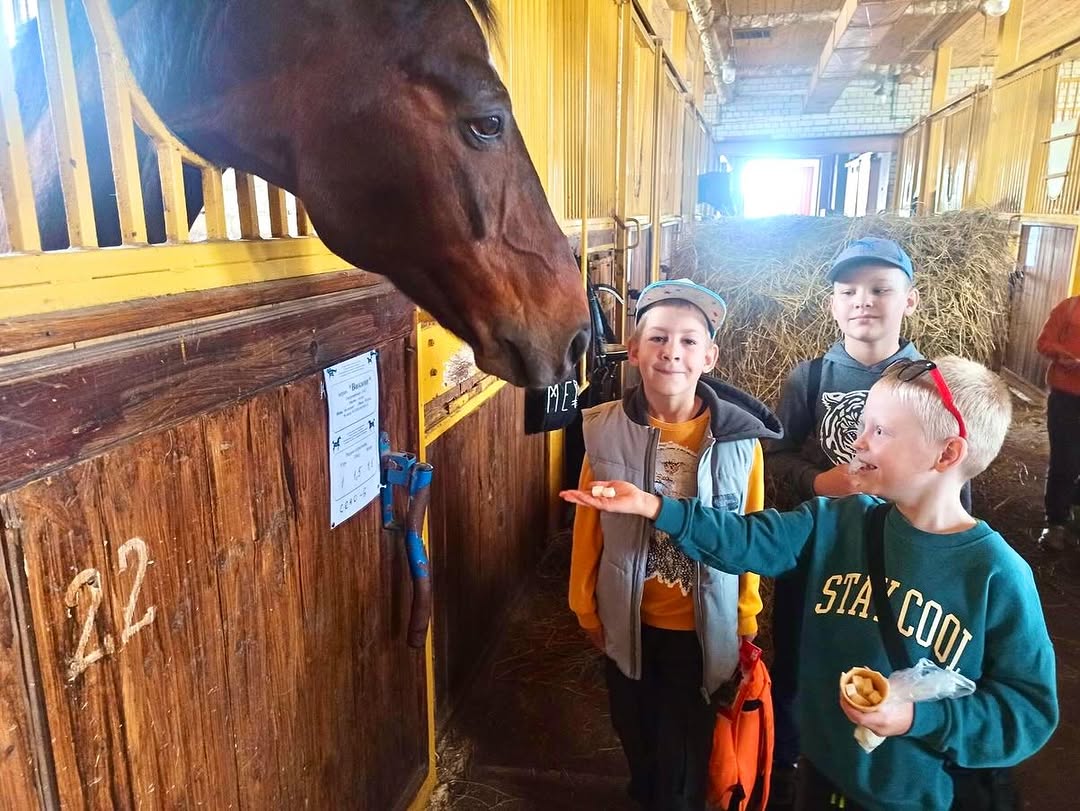 С любовью к лошадям