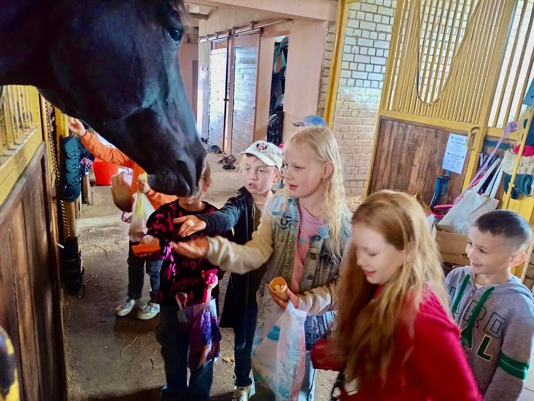 С любовью к лошадям