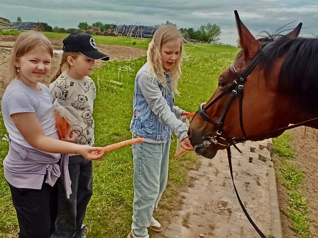 С любовью к лошадям