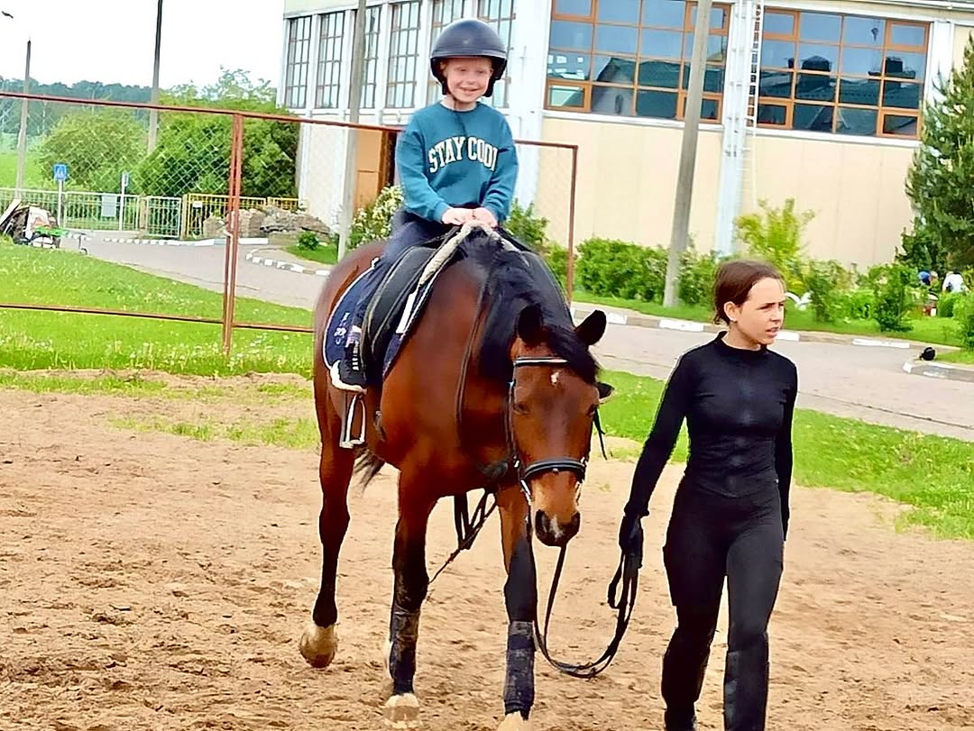 С любовью к лошадям