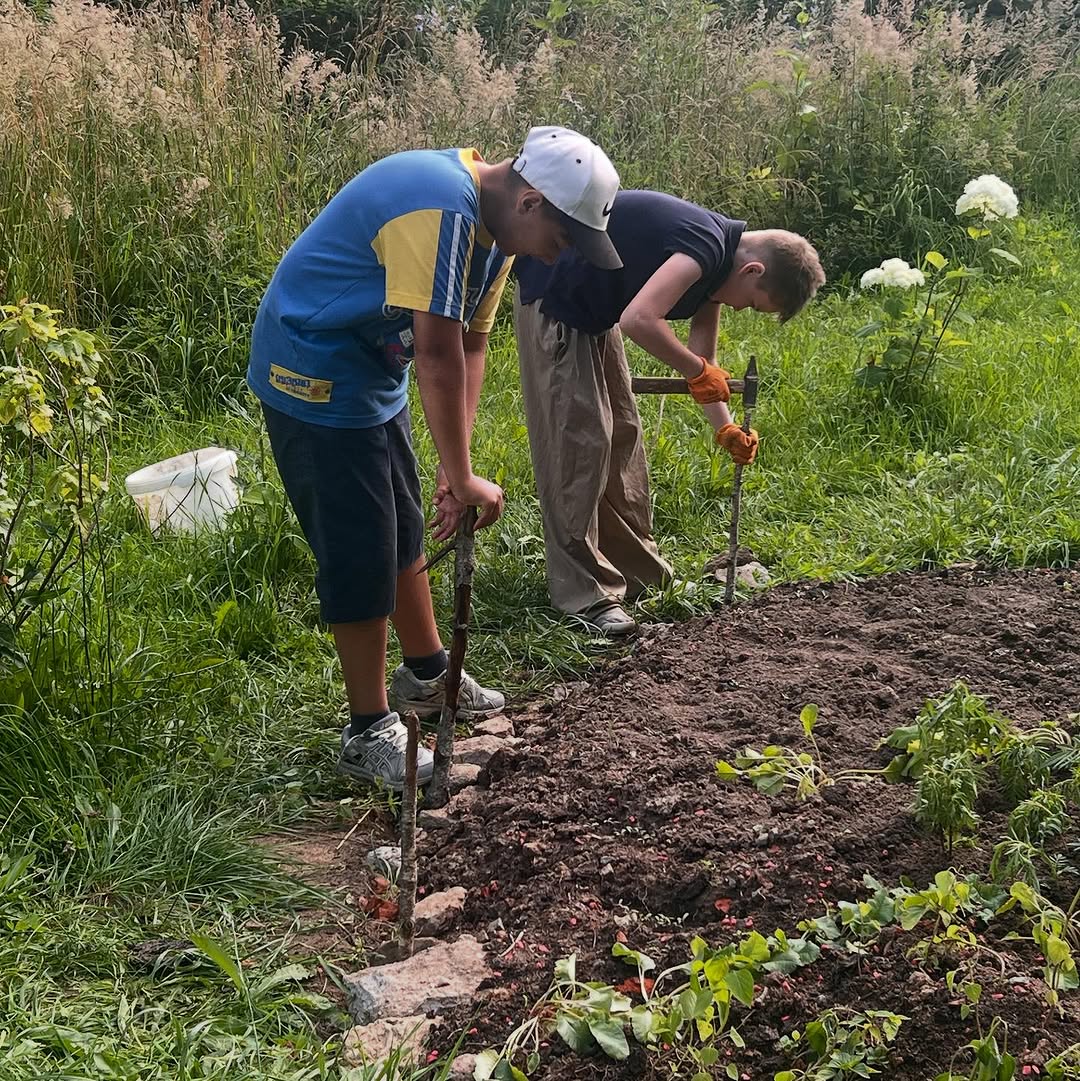 Благоустраиваем территорию