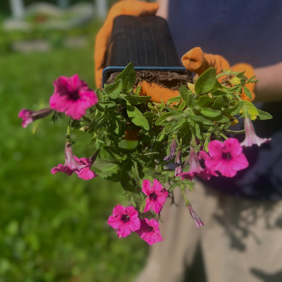 Благоустраиваем территорию