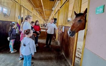 Иппотерапия