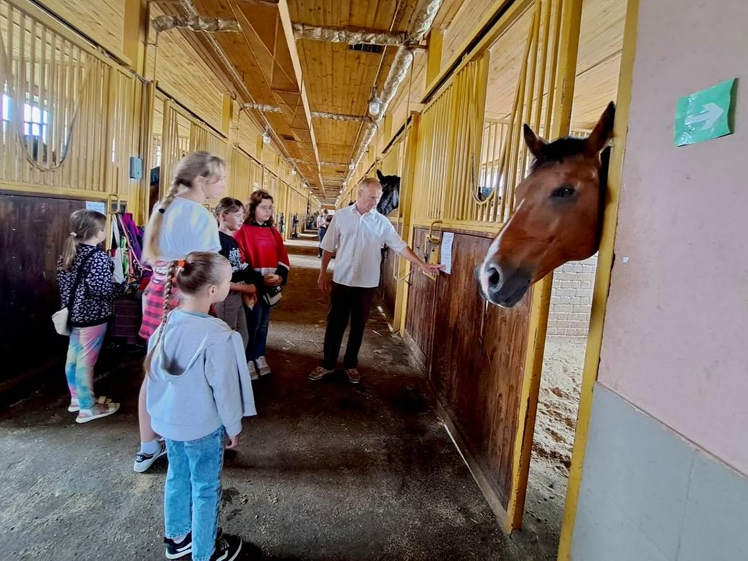 Иппотерапия