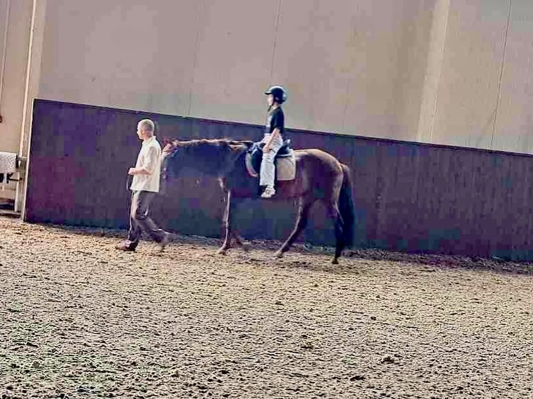 Иппотерапия