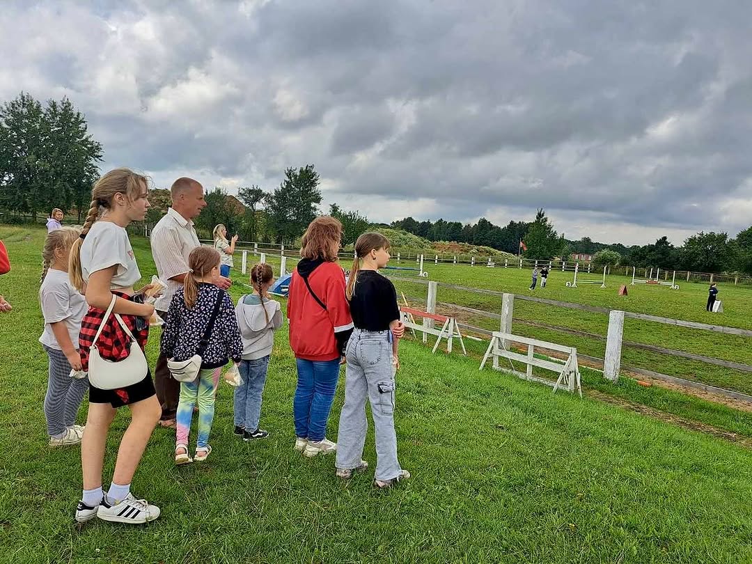 Иппотерапия