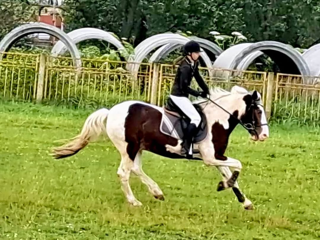 Иппотерапия