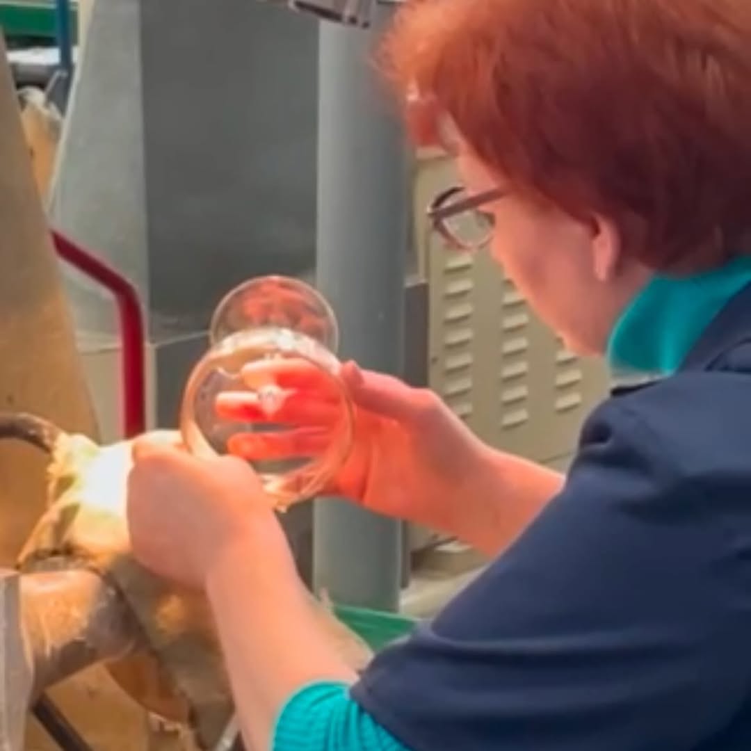 Промышленный туризм