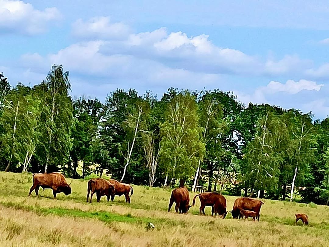 Каникулы с пользой