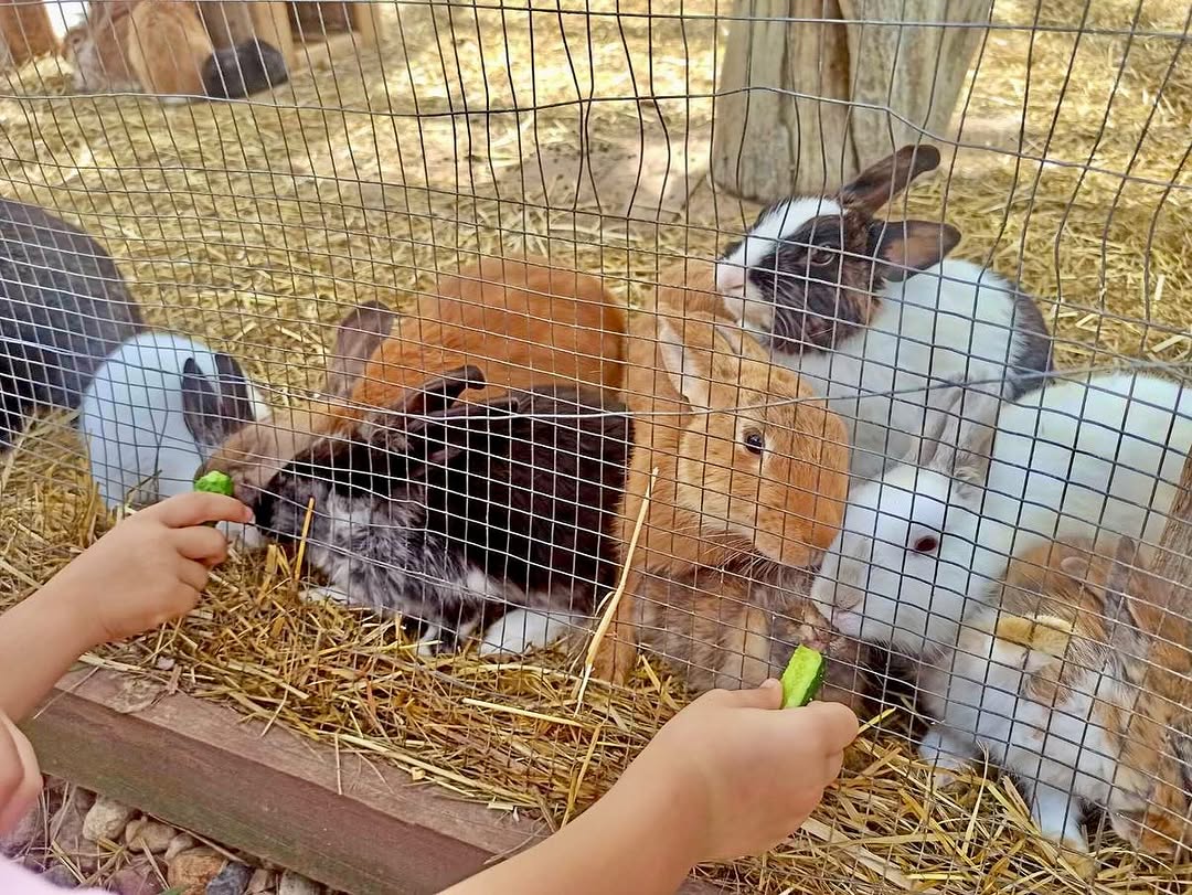 Каникулы с пользой