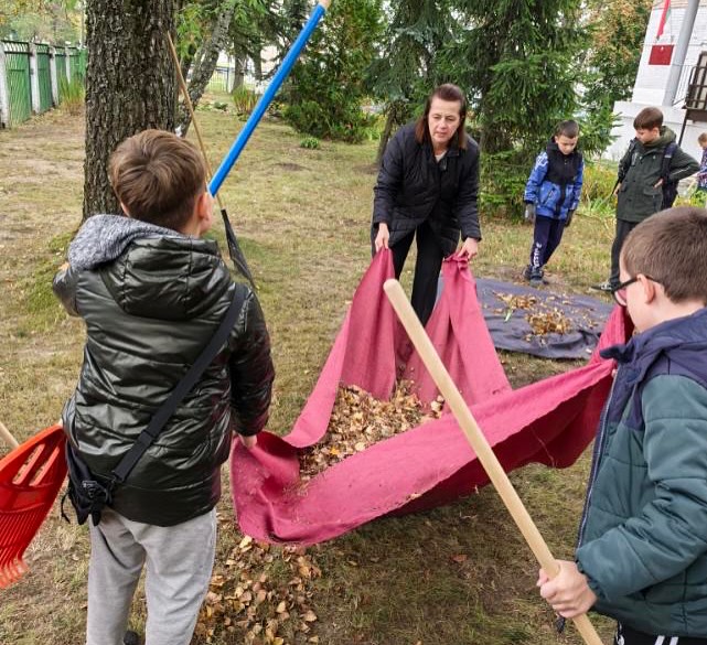 Трудовой десант «Опавшие листья»