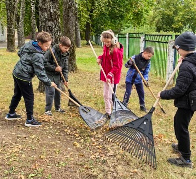 Трудовой десант «Опавшие листья»