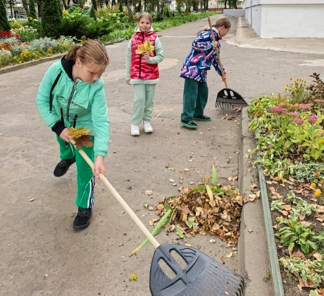 Трудовой десант «Опавшие листья»